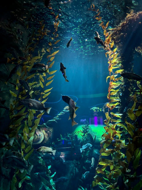 A Family with Kids Day trip to Toronto, Ontario