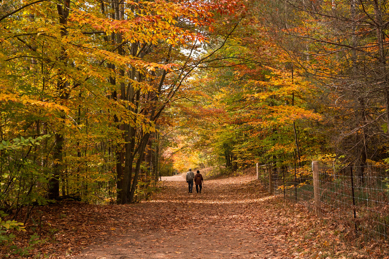 Quebec Fall Foliage Guide